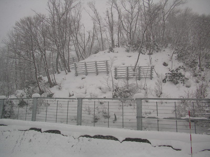国道７号大須戸地区雪崩対策他工事