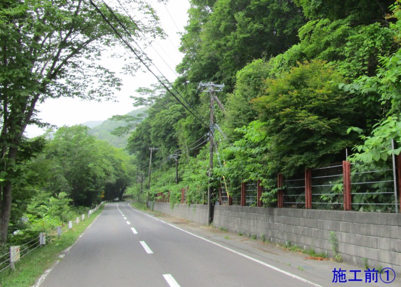 洞爺公園洞爺線（改築）工事（補正）（繰越）外