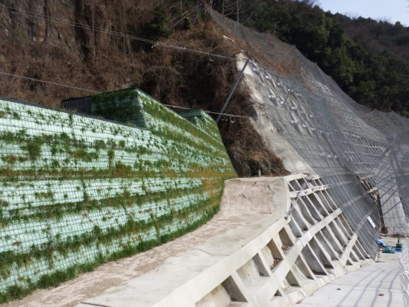 国道１８６号道路改良工事（防鹿トンネル東側工区）