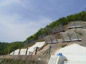 国道１８６号長田２工区防災安全交付金（雪寒）工事
