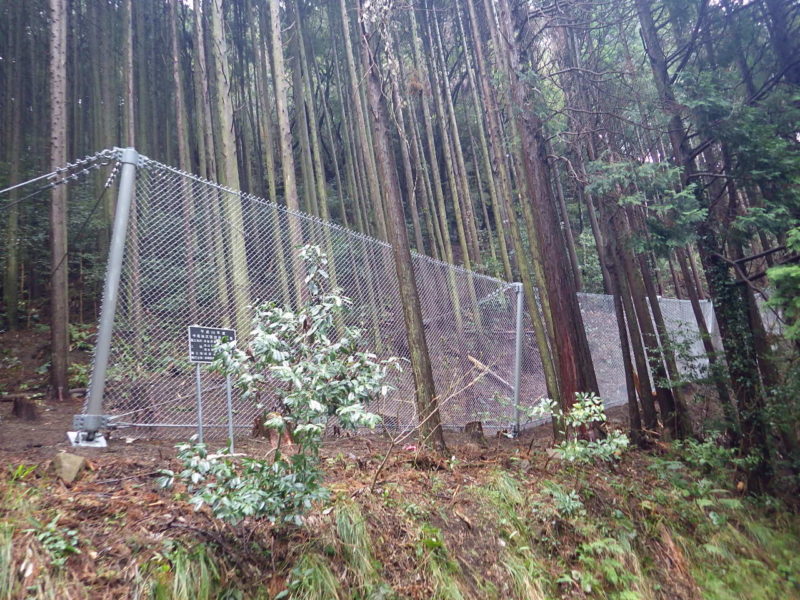 中尾地区復旧治山工事