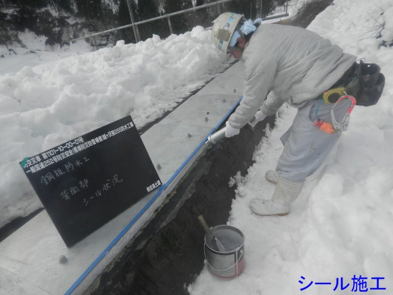 国道２５２号越ヶ沢第２スノーシェッド防水工事