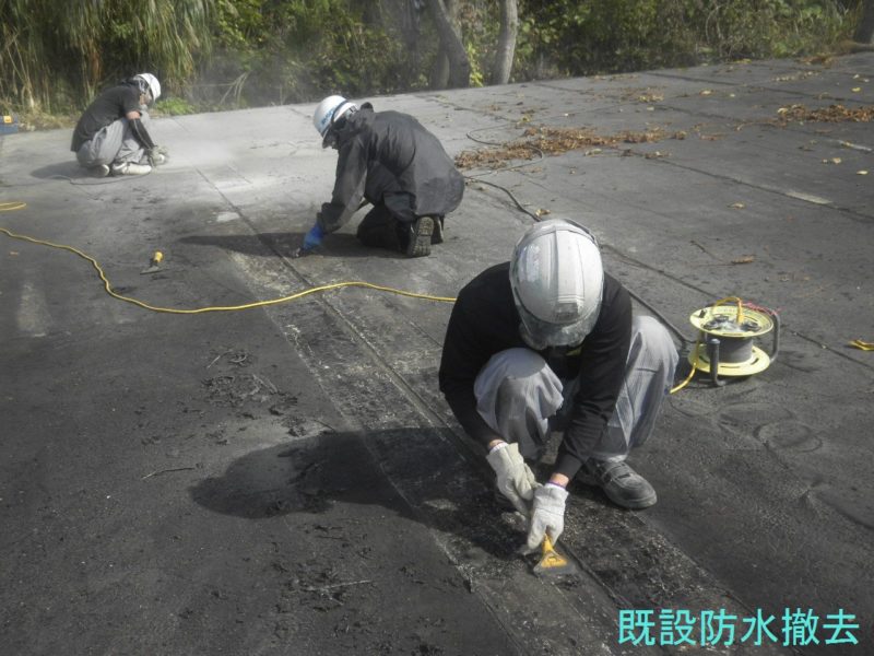 国道２５２号越ヶ沢第２スノーシェッド防水工事