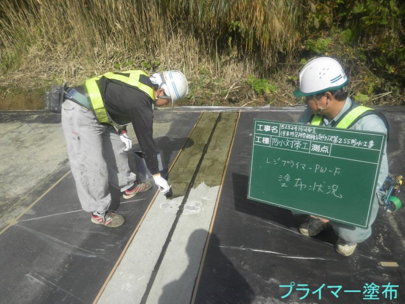 国道２５２号越ヶ沢第２スノーシェッド防水工事