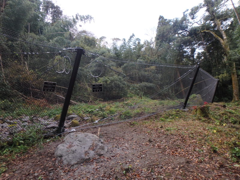 林地荒廃防止事業清水寺地区落石対策工事