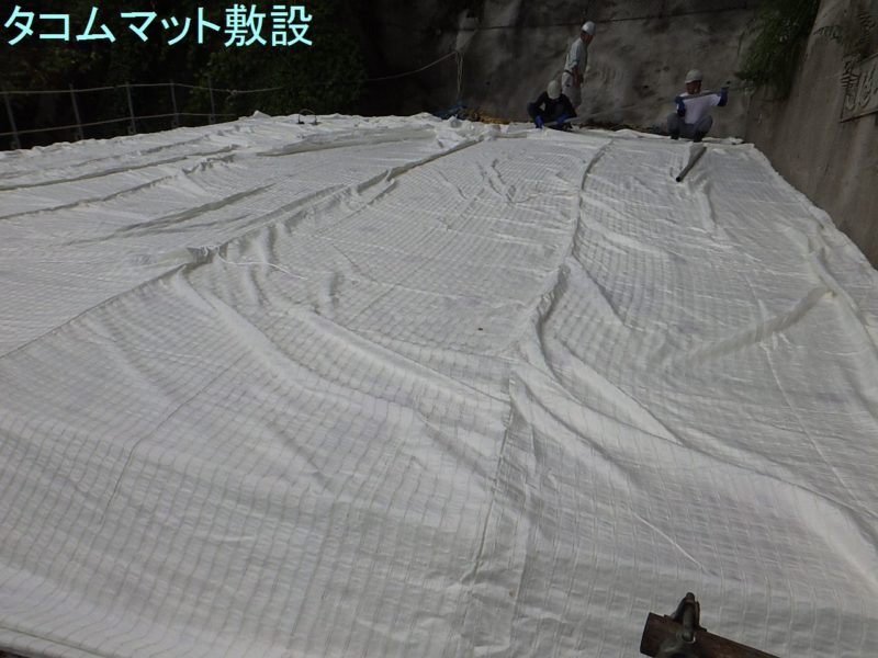 佐渡一周線県単道路防災防雪施設補修(補正)虫崎洞門補修工事