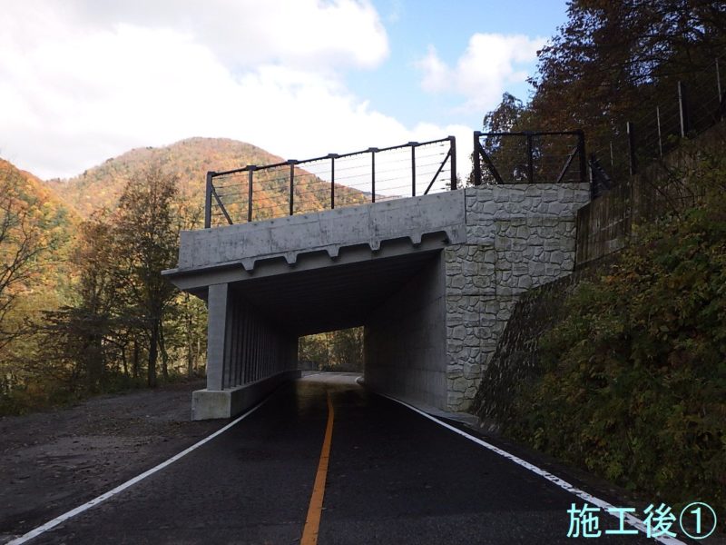 立山有料道路 防災改築ロックシェッド工工事