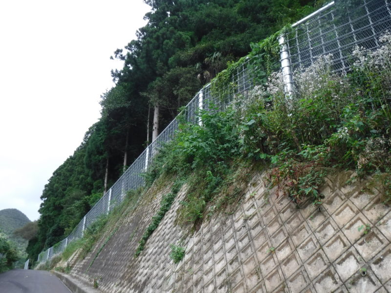 舞鶴若狭自動車道　春日IC～大飯高浜IC間 盛土補強工事