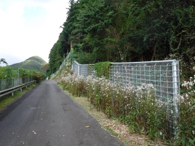 舞鶴若狭自動車道　春日IC～大飯高浜IC間 盛土補強工事