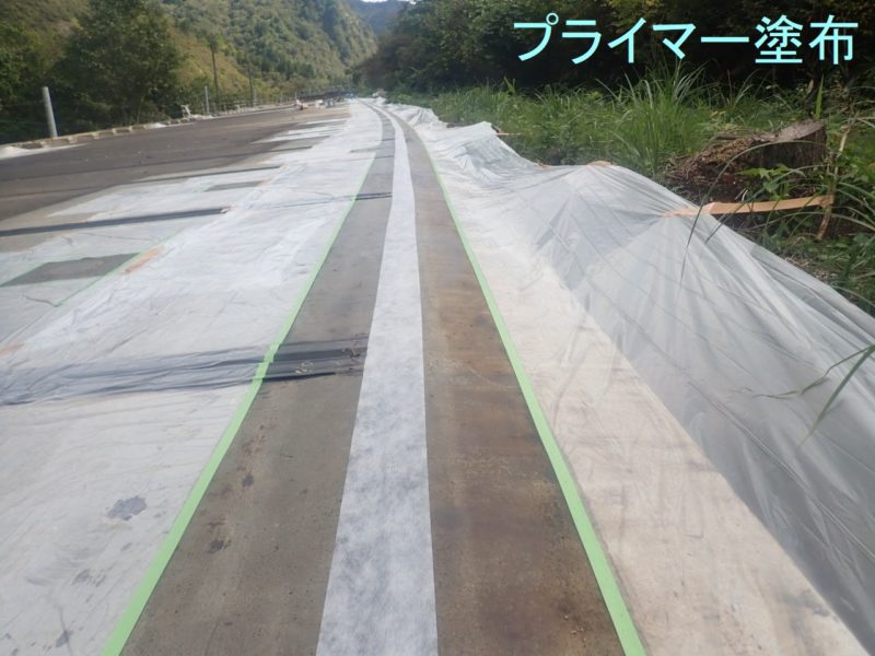 国道２８９号道路更新防災（洞門補修）大江SS補修工事