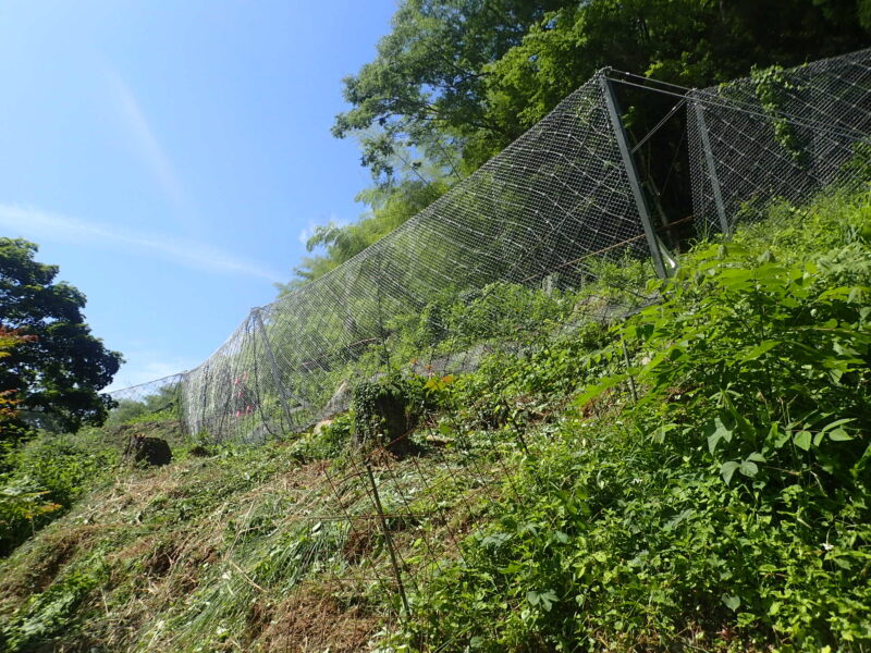 八葉寺地区復旧治山工事（５工区）