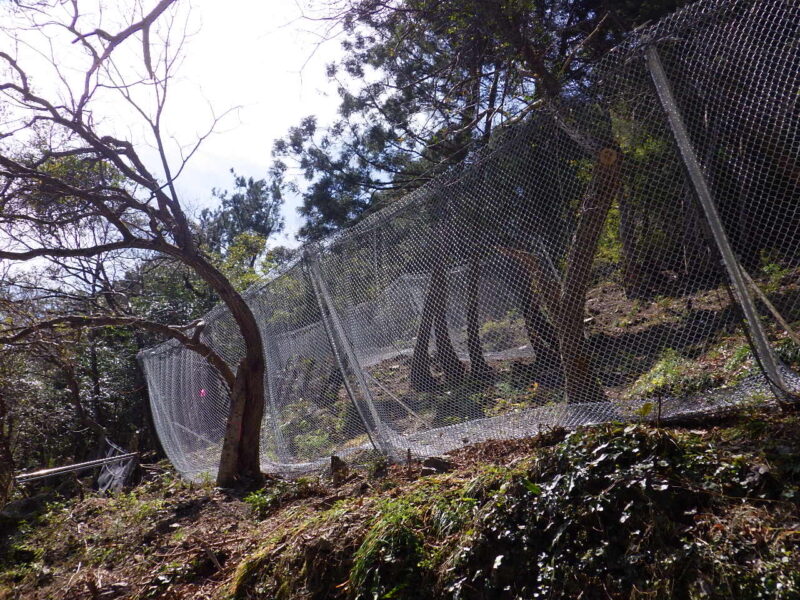 国道３３号 佐川管内防災工事