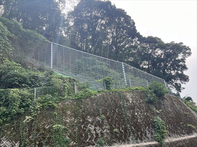 国道１６８号 落石防止対策工事（防災･安全交付金事業(国道災害防除･国補正)）