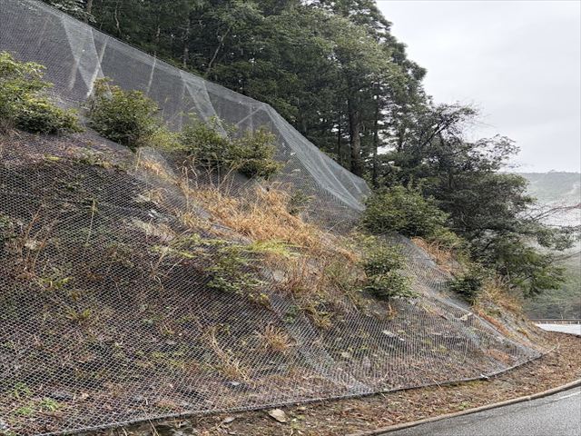 高野辻堂線 落石対策工事（防災･安全交付金事業(地方道災害防除･国補正)）