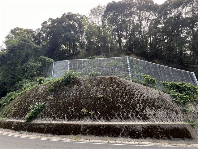 国道１６８号 落石防止対策工事（防災･安全交付金事業(国道災害防除･国補正)）